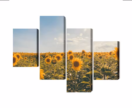 Canvastavla - Multipart Sunflower Field on a