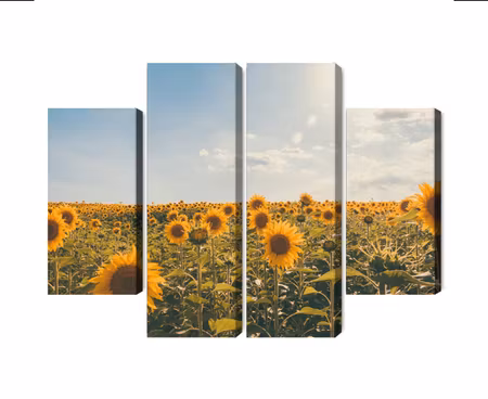Canvastavla - Multipart Sunflower Field on a