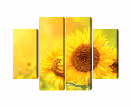 Canvastavla - Multipart Blooming Sunflowers D