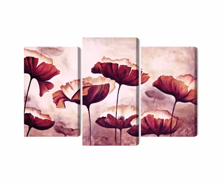 Canvastavla - Multipart Poppies As Painted