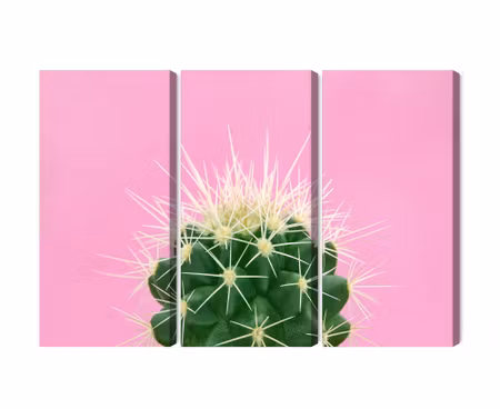 Canvastavla - Multipart Cactus on a Pink
