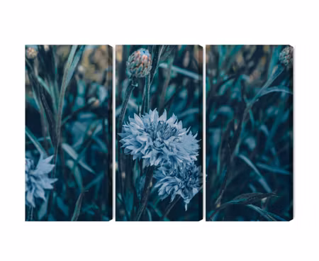 Canvastavla - Multipart Cornflowers in the Meadow