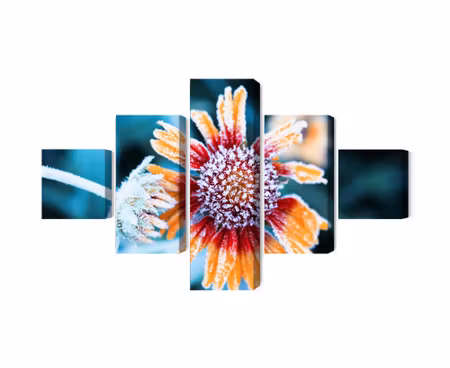 Canvastavla - Multipart Rudbeckia Flowers Covered