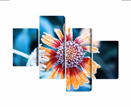 Canvastavla - Multipart Rudbeckia Flowers Covered