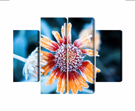 Canvastavla - Multipart Rudbeckia Flowers Covered