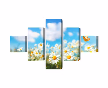 Canvastavla - Multipart D Daisy Field