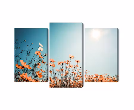 Canvastavla - Multipart Field Flowers in the Sun