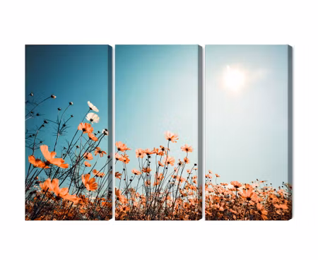 Canvastavla - Multipart Field Flowers in the Sun
