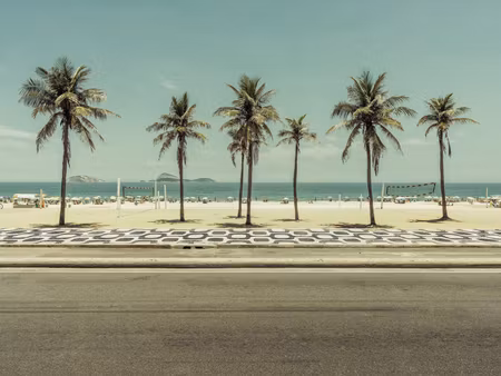 Canvastavla - Multipart Palm Trees on the Ipanema