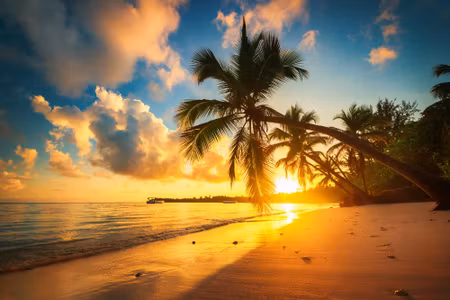 Canvastavla - Multipart Tropical Beach in Punta