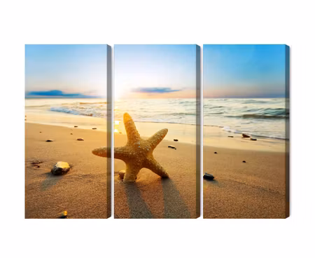 Canvastavla - Multipart Starfish on the Beach D