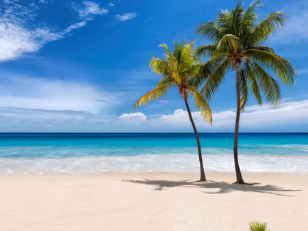 Canvastavla - Multipart Caribbean Beach D