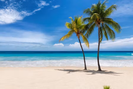 Canvastavla - Multipart Caribbean Beach D