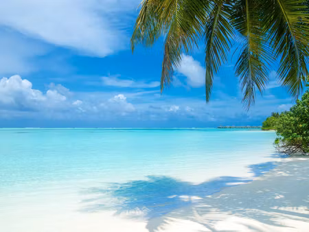 Canvastavla - Multipart a Beach in the Maldives