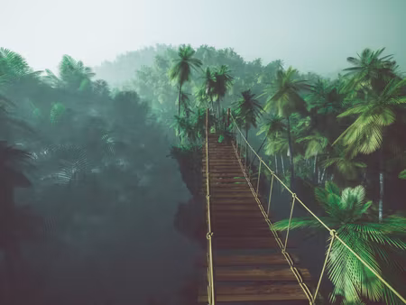 Canvastavla - Multipart Rope Bridge in the Jungle