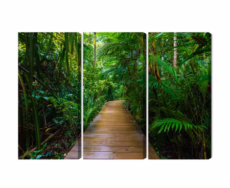 Canvastavla - Multipart Wooden Bridge in a