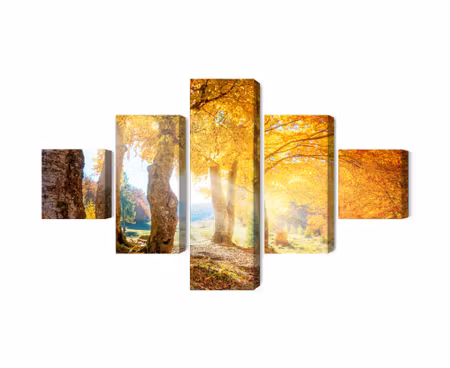 Canvastavla - Multipart Sunny Autumn Forest