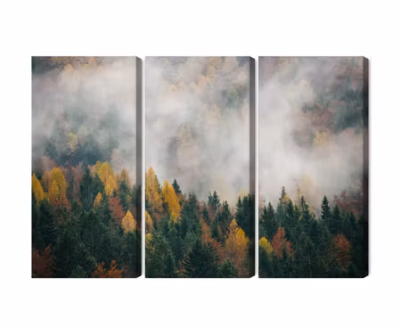 Canvastavla - Multipart Autumn Forest in Fog D