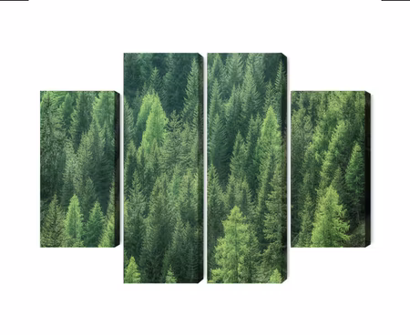 Canvastavla - Multipart D Green Forest View