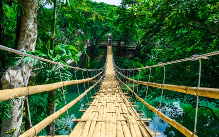 Canvastavla - Multipart Bamboo Bridge in the Rain