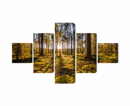 Canvastavla - Multipart D Sunny Forest Landscape
