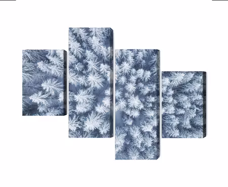 Canvastavla - Multipart Aerial View of the Winter