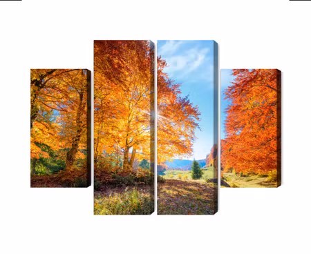 Canvastavla - Multipart Colorful Autumn Trees
