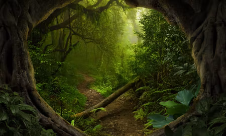 Canvastavla - Multipart Path in the Tropical