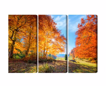 Canvastavla - Multipart Colorful Autumn Trees