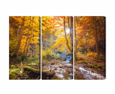 Canvastavla - Multipart D Autumn Forest Landscape