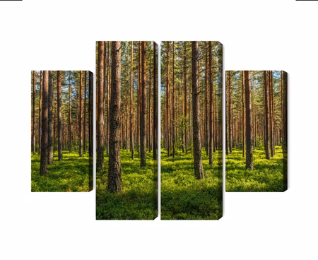 Canvastavla - Multipart D Pine Forest