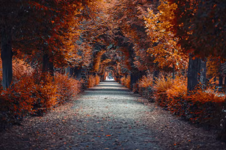 Canvastavla - Multipart a Path Deep Into the