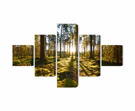 Canvastavla - Multipart Forest Landscape with
