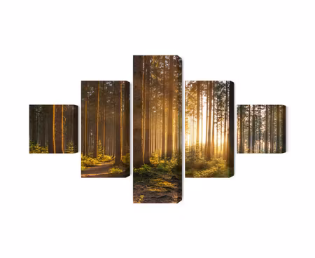 Canvastavla - Multipart Sunset in the Forest