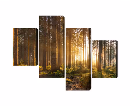 Canvastavla - Multipart Sunset in the Forest
