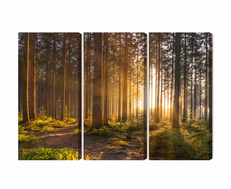 Canvastavla - Multipart Sunset in the Forest