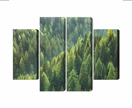 Canvastavla - Multipart the Green of the Forest