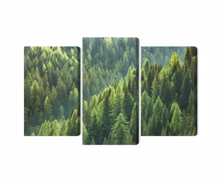 Canvastavla - Multipart the Green of the Forest