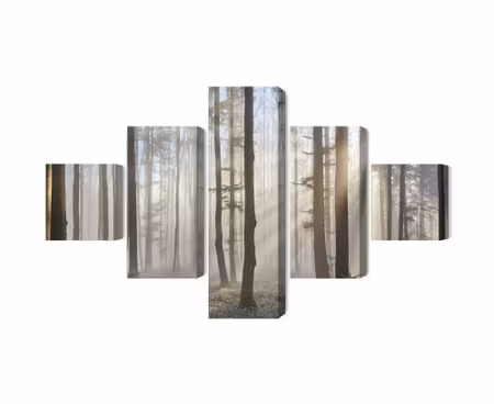 Canvastavla - Multipart Sunrise in the Woods