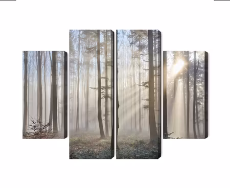 Canvastavla - Multipart Sunrise in the Woods