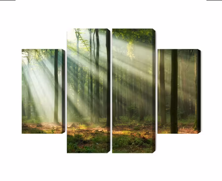 Canvastavla - Multipart Forest Landscape in the