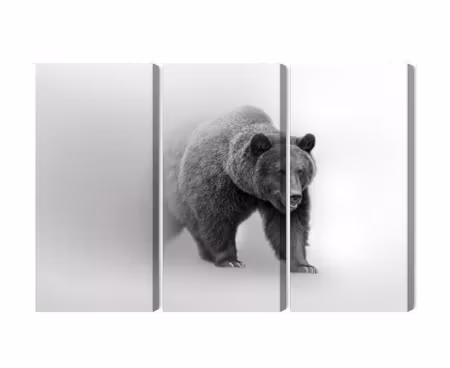 Canvastavla - Multipart Bear in the Fog D