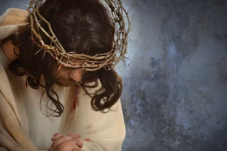 Canvastavla - Jesus with the Crown of Thorns