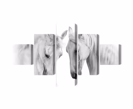 Canvastavla - Multipart Two Horses on a White