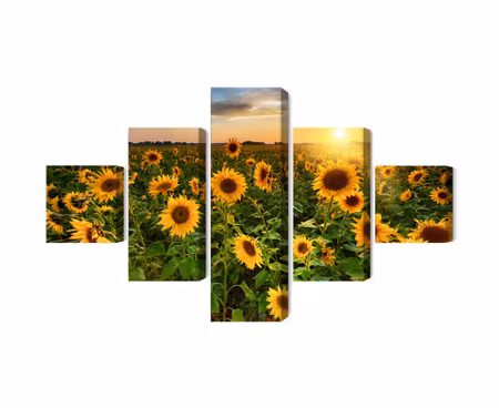 Canvastavla - Multipart Sunflower Field At Sunset