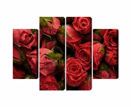 Canvastavla - Multipart Roses with Water Drops