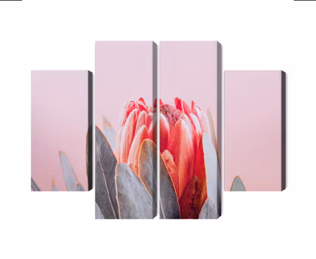 Canvastavla - Multipart Flower of the Royal Prot