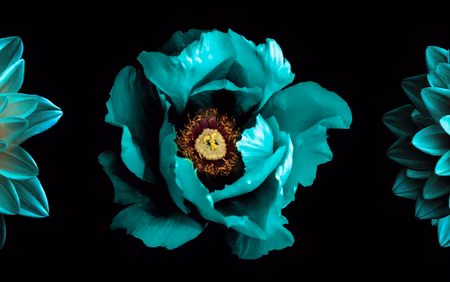 Canvastavla - Multipart Turquoise Flowers on a