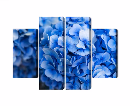 Canvastavla - Multipart Blue Hydrangea Flowers