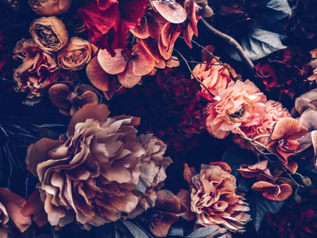 Canvastavla - Multipart Colorful Flowers in a